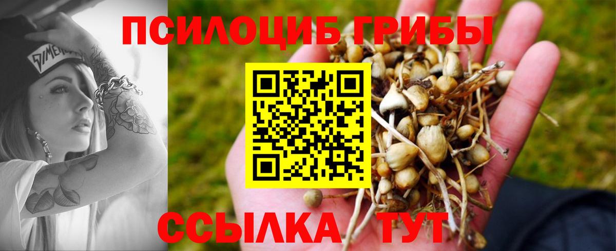 Псилоцибиновые грибы мухоморы Малоярославец